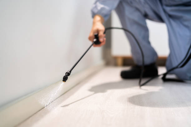 Licensed Termite Control service in Holbrook, AZ - Nex Pest Control