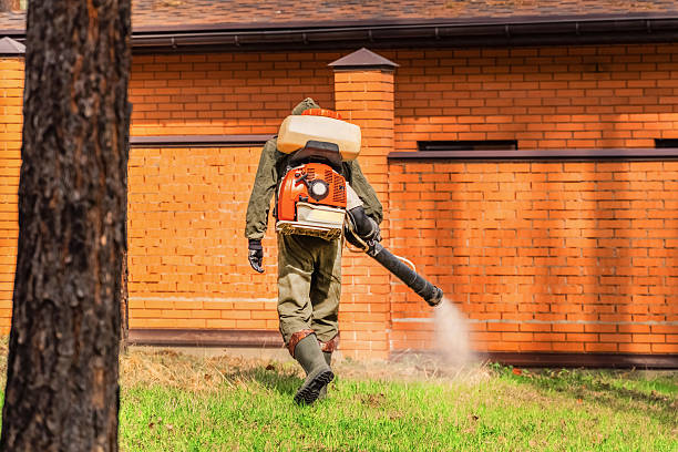Trusted Rodent Control service in Holbrook, AZ - Nex Pest Control